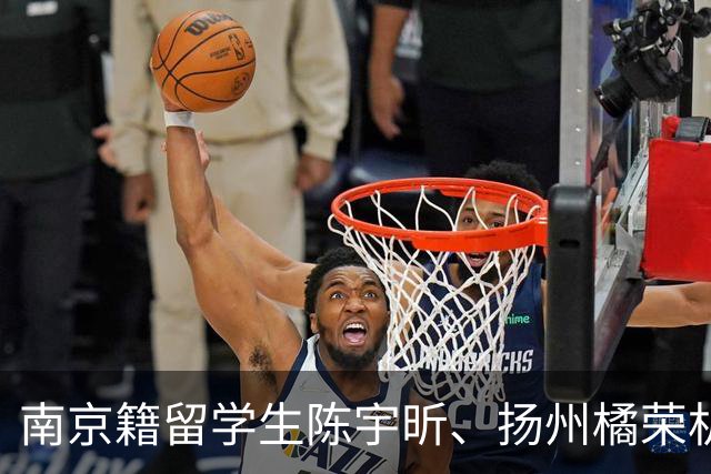 南京籍留学生陈宇昕、扬州橘荣机械、法定代表人夏某某、大学教授汤家凤，四个原本毫无关联的名字，因为一面旭日旗被串在了一起